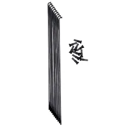 Strahlen Pride Racing Hexagon Double Butted (x10)