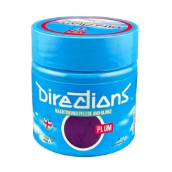Directions Haartönung Plum 100 ml