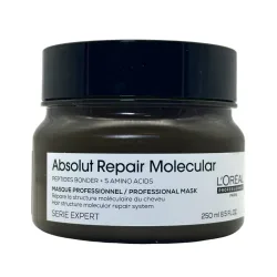 L'Or&eacute;al Serie Expert Absolut Repair Molecular Mask 250 ml