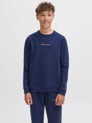 Jack & Jones Junior Sweatshirt »JORNORREBRO EMB SWEAT CREW NOOS JNR«