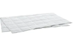 Swiss Dream - Leichtes Ganzjahres-Daunenduvet, Clima Caro Light Basic 90 Leichtes Ganzjahres Daunenduvet, 160 x 210 cm, Weiss