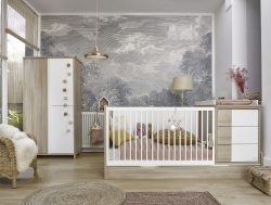 Galipette Babymöbel-Set »Sasha«, (6 St.), bestehend aus Schrank, Bett, Regal, Kommode, Schreibtisch & Ablage