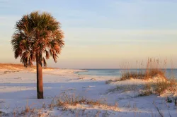 Papermoon Fototapete 