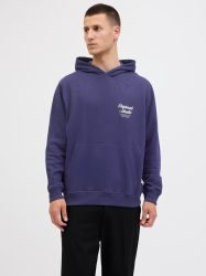 Jack & Jones Kapuzensweatshirt »JORNORREBRO TYPO BACK SWEAT HOOD SN«