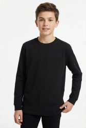 Name It T-Shirt »NKMVOBBO LS NREG TOP NOOS«
