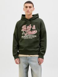 Jack & Jones Kapuzensweatshirt »JJELOGO SWEAT HOOD 2 COL 25/26 NOOS«, mit stylischem Print