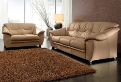 sit&more Polstergarnitur, NaturLEDER® (2-tlg.), bestehend aus je einem 2- und 3-Sitzer, inklusive Federkern