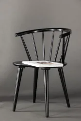 Stuhl 2er-Set Glasyr Schwarz Holz B 55 cm - Material: Gummibaum - Stuhl 2er-Set