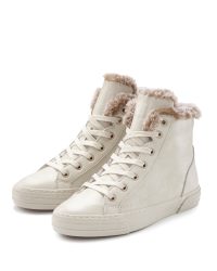 Elbsand Stiefelette, Stiefel, Boots, Schnürstiefelette, Sneaker, Schnürschuh VEGAN