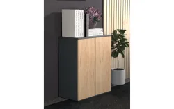 VCM Büroschrank Dalosa 2-Fach, Honig-Eiche
