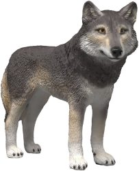 Schleich - 14991 Amerikanischer Wolf, Multicolor