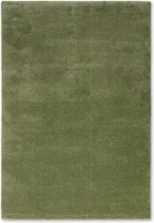ASTRA Teppich 