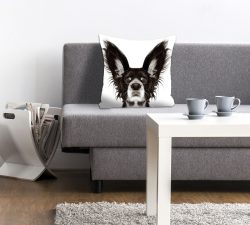 queence Dekokissen »Benni«, (1 St.), mit einem Hund mit spitzen Ohren