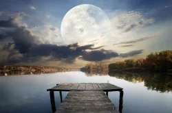 Papermoon Fototapete 