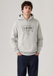 Levi's® Hoodie »STANDARD GRAPHIC HOOD«, mit Kängurutasche