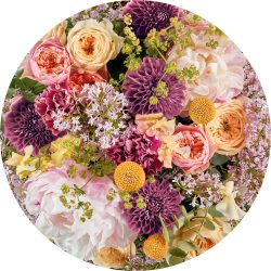Komar Fototapete »Frescas«, Comic-botanisch, 125 x 125 cm