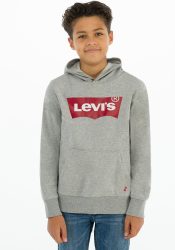 Sweatshirt 'Batwing Screenprint'