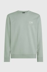 ONeill Sweatshirt 