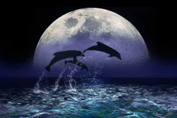 Papermoon Fototapete 