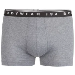 ISA bodywear - Panty, für Herren, Grau, Größe S
