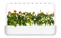 Click and Grow Click and Grow Kr?utertopf Smart