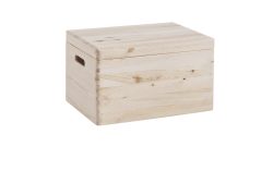 Allzweckkiste m.Deckel40x30x24