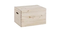Allzweckkiste m.Deckel40x30x24