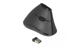 DeLock - Ergonomische Maus (Kabellos), Schwarz