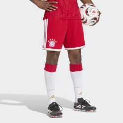 adidas Performance Trainingsshorts 