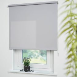 Liedeco Seitenzugrollo 