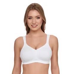 Susa Minimizer-BH 