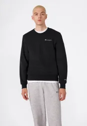 Champion Sweatshirt 