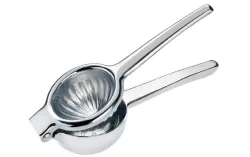 Zitruspresse 