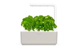 Click and Grow Click and Grow