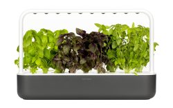 Click and Grow Click and Grow Kr?utertopf Smart