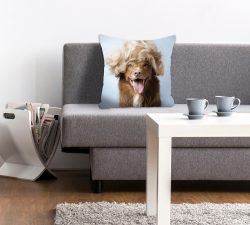 queence Dekokissen »Perry«, (1 St.), mit einem Hund mit einer blonden Perücke