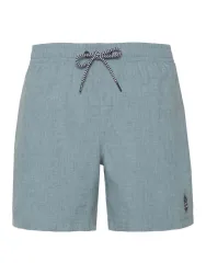 PROTEST - Badehose, für Herren, Pistaziengrün, Größe M
