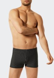 Schiesser - Aqua Badepant, für Herren, Schwarz, Größe XL
