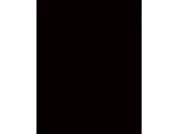 Schrankkorpus EVOLUTION schwarz 56.5x100x215cm