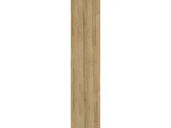1 Tür EVOLUTION