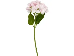 Kunstblume HORTÉNA