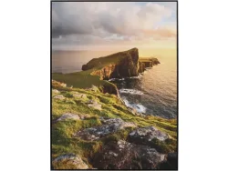 Leinwand bedruckt WILD 1 Stück mehrfarbig 80x60x3.5cm