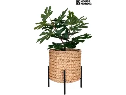 Topf ANTAS 25x29x26cm beige
