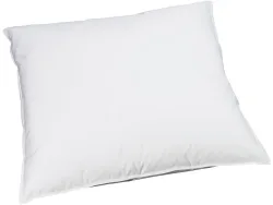 BILLERBECK EDITIONNaturkissen REVE DOWN BASIC 65x65cm