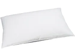 BILLERBECK EDITIONNaturkissen REVE DOWN BASIC 65x100cm