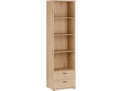 Bibliothek VERNIQ 55.4x41.3x201.5cm spanplatte