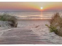 Tapete BEACH 3-teilig vliesfaser sandfarben 312x219x1cm