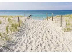 Tapete BEACH 2-teilig vliesfaser cremeweiss 208x146x1cm