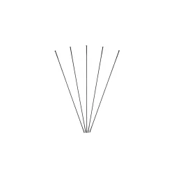Speichen hinten Massi (x5)