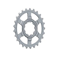 Ritzel letzte Position Miche 10VSH